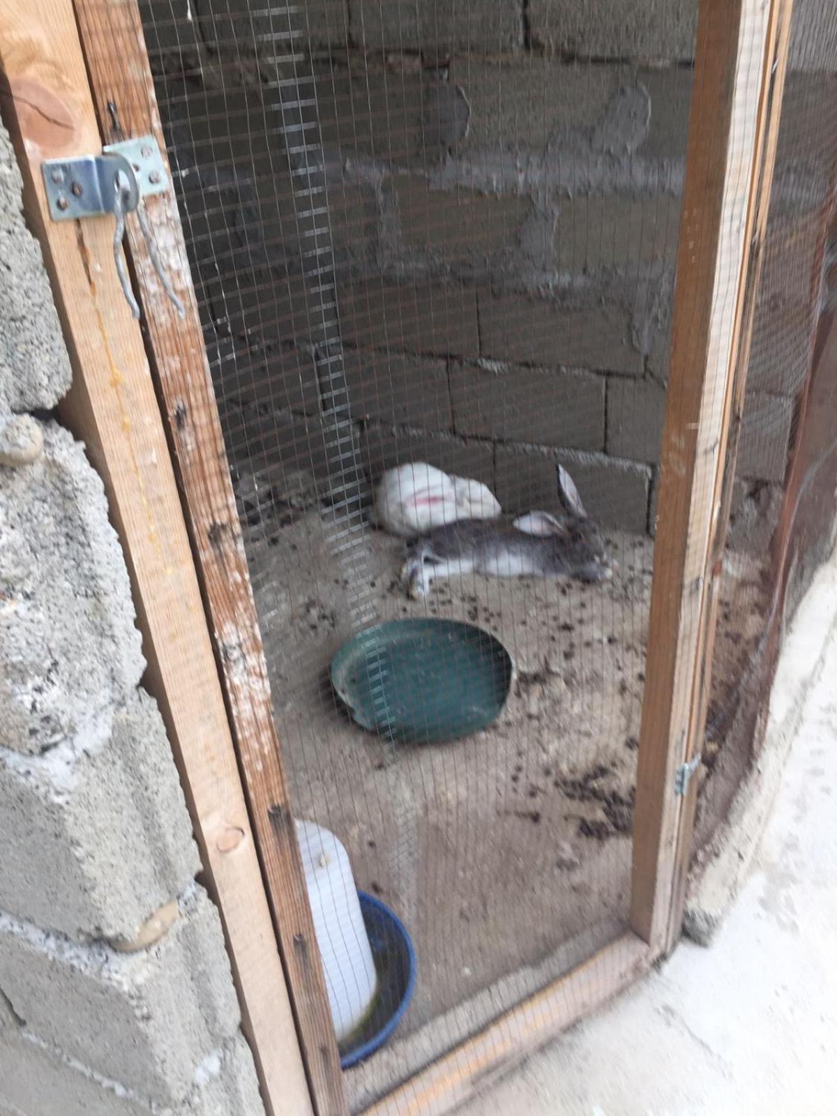 Mera Hostel Partskhanaqanevi 외부 사진