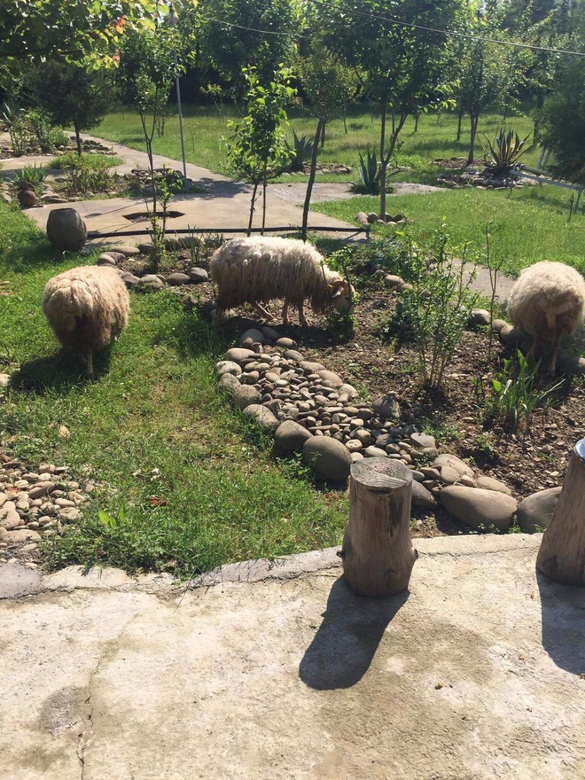 Mera Hostel Partskhanaqanevi 외부 사진